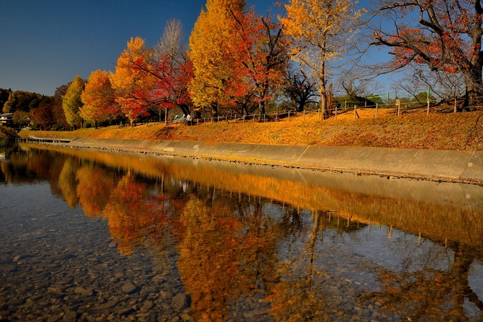 写真:星野郁男作品