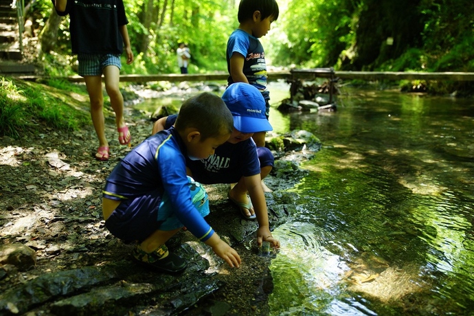 写真:中西隆作品