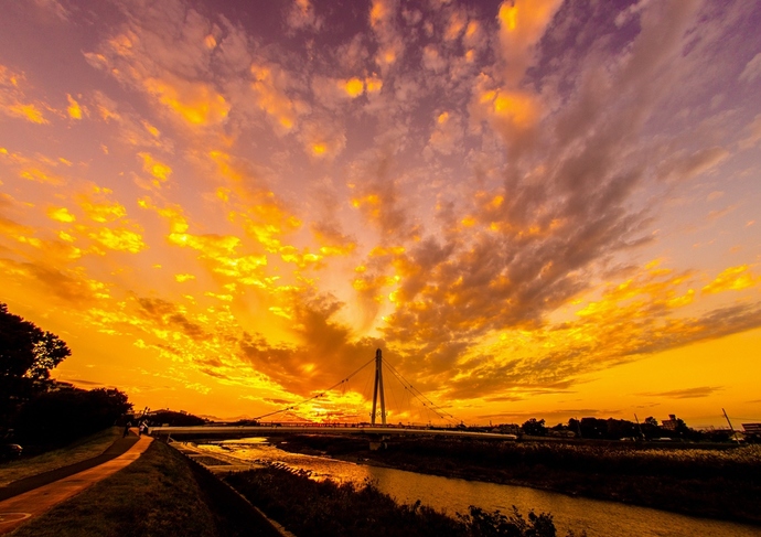 写真:設楽誠一作品