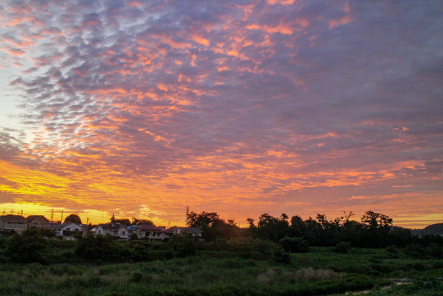 写真:井上 美桜作品