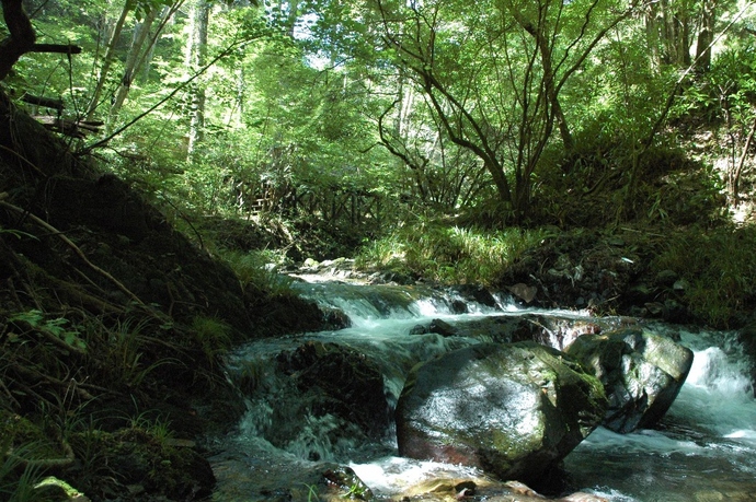 写真:石川 優太作品