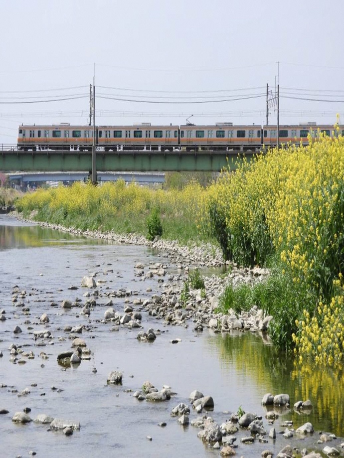 写真:小山 咲風作品