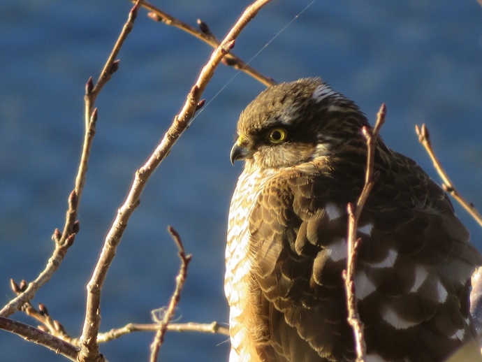 写真:松浦航作品