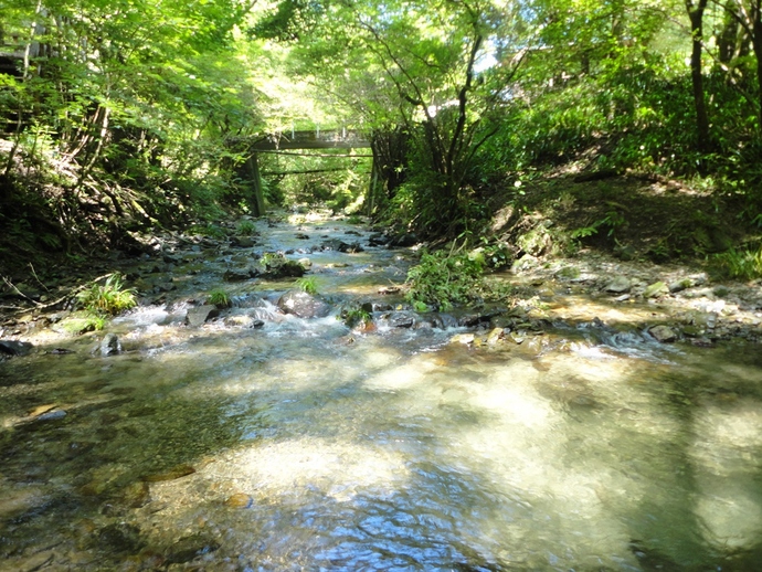 写真:望月 優吾作品
