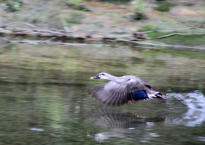 写真:篠崎愛里作品