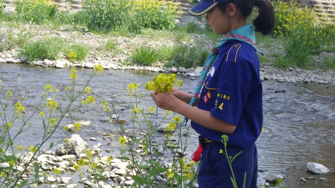 写真:八木下 湖雪作品