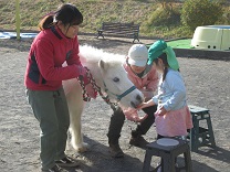 写真：馬にニンジンをあげている