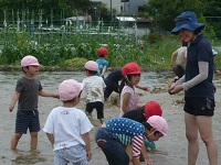 代掻きで田んぼに入りうれしそうな子どもたちの写真