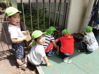 虫探しをしている様子の写真