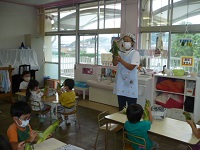 4歳児ぞう組がトウモロコシの皮をむいている写真