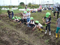 5歳児らいおん組がいもほりをしている写真