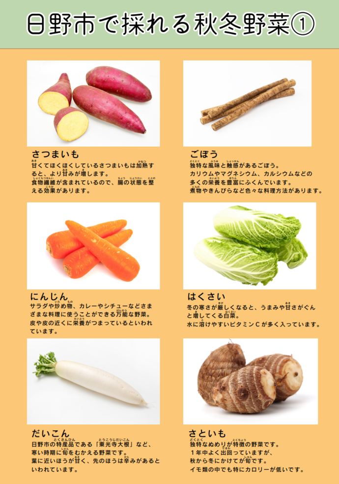 画像：日野市で採れる秋冬野菜（1）