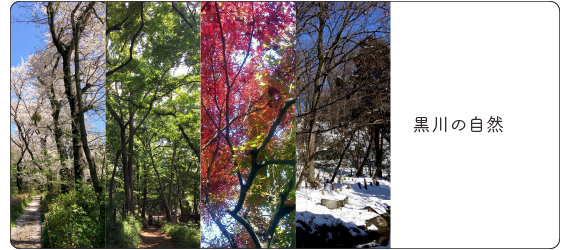 写真:黒川清流公園の四季