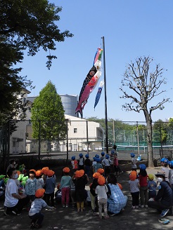 こいのぼりをあげる様子の写真