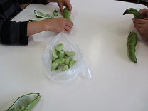 写真：そらまめ