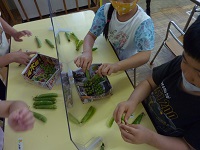グリーンピースをむく子どもの写真