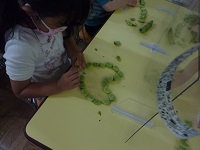 ハート形に並べたそら豆の写真