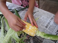 5歳児らいおん組が皮をむき終わった写真