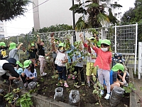 ほれた芋を見せている写真