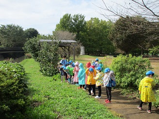 5歳児らいおん組がかっぱを着て歩いている様子の写真