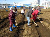 くわの練習の写真