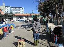 写真：リトルホース