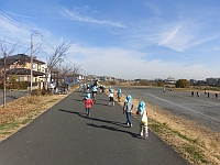 写真:土手を散歩する様子