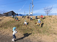 写真:土手滑りをするこあらぐみ