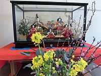 写真:菜の花とひな人形