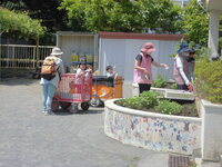 春の遠足の写真