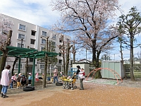 写真:園庭での慣らし保育の様子