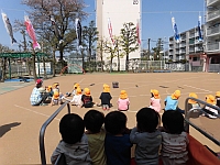 写真:こいのぼりを見ている様子