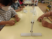 写真:さやむきをしている子どもの様子
