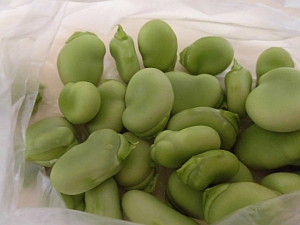 写真:さやをむいたそら豆