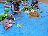 写真:野菜くずをちぎる様子