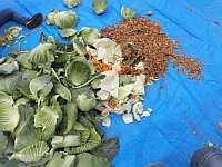 写真:土づくりの材料