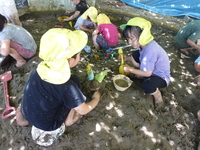 どろんこ遊びの写真