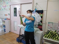 写真：トウモロコシ