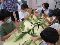 写真：トウモロコシ皮むき