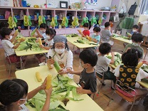 写真：トウモロコシ皮むき