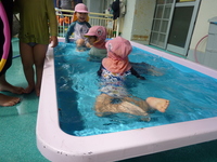 プール遊びの様子の写真