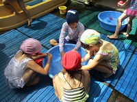 5歳児が水遊びしているところです。