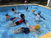 写真:わにさん泳ぎの様子