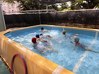 写真:泳いでいるところ