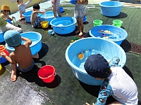 写真:たらいでの水遊びの様子