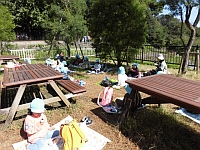 写真:お弁当を食べる4歳児
