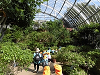 写真:昆虫館の出口での様子