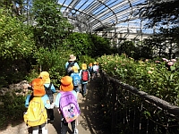 写真:昆虫館での様子