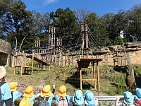 写真:オランウータンを見ている5歳児