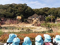 写真:ぞうを見ている4歳児